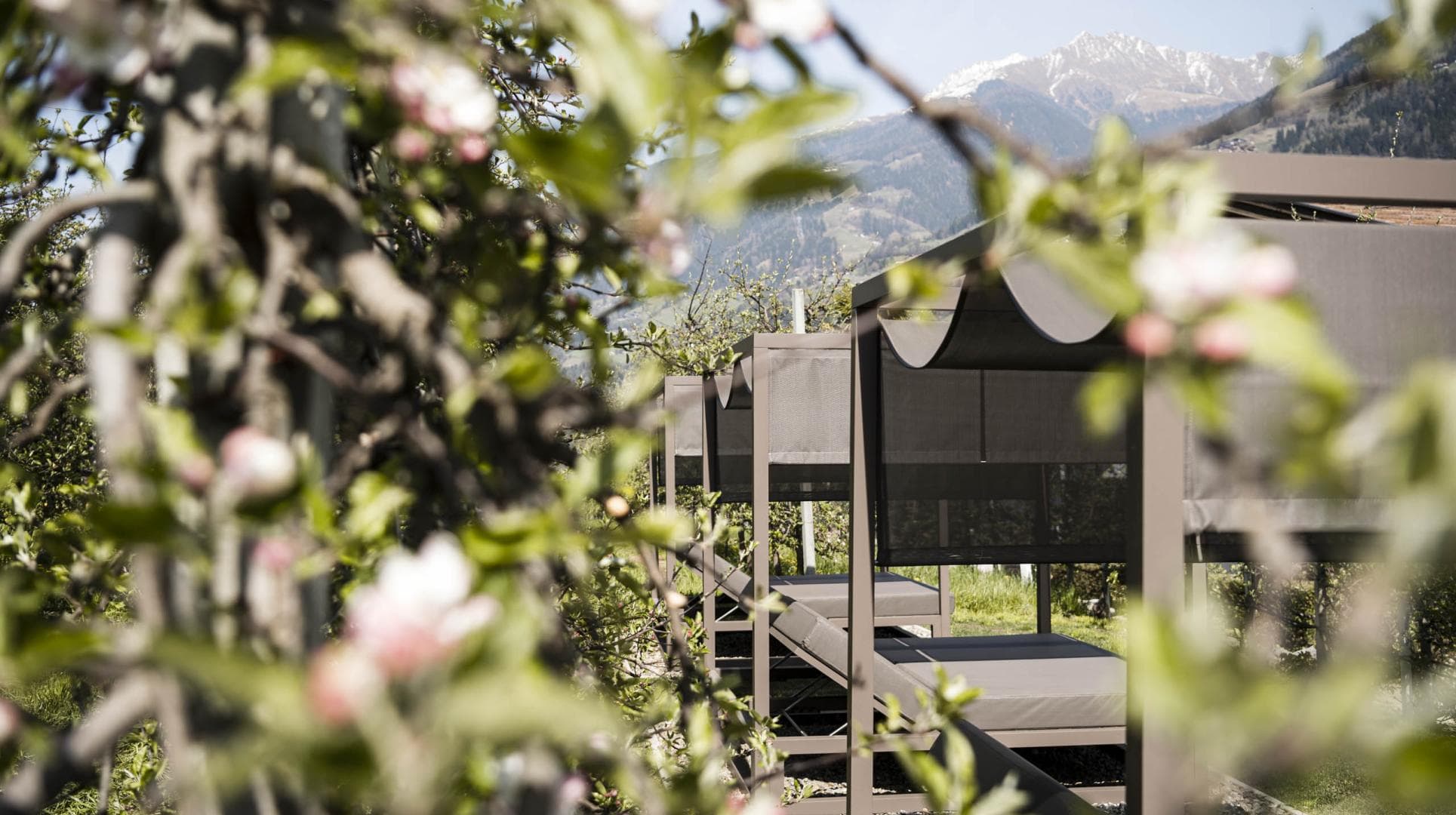 Spring Opening Special 7=6